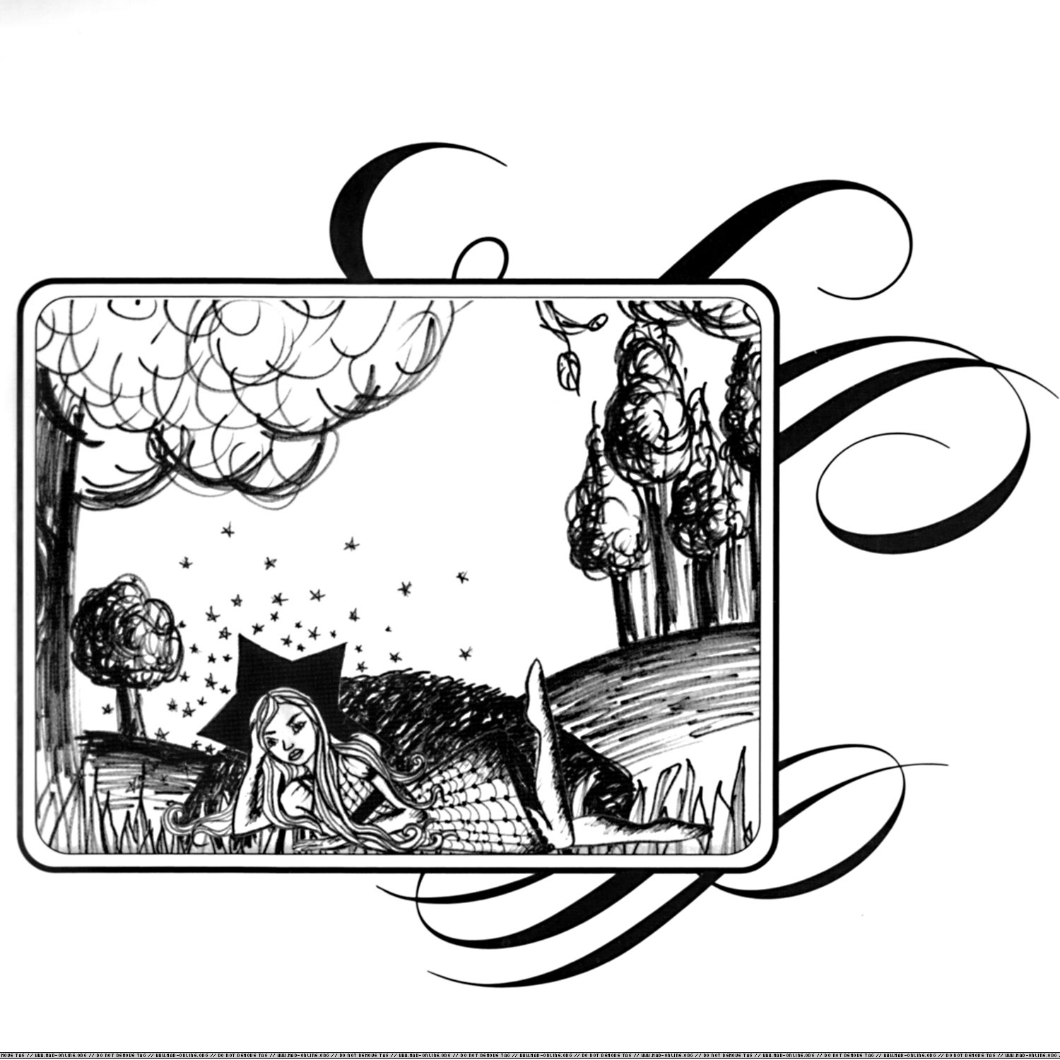 song11-pic.jpg