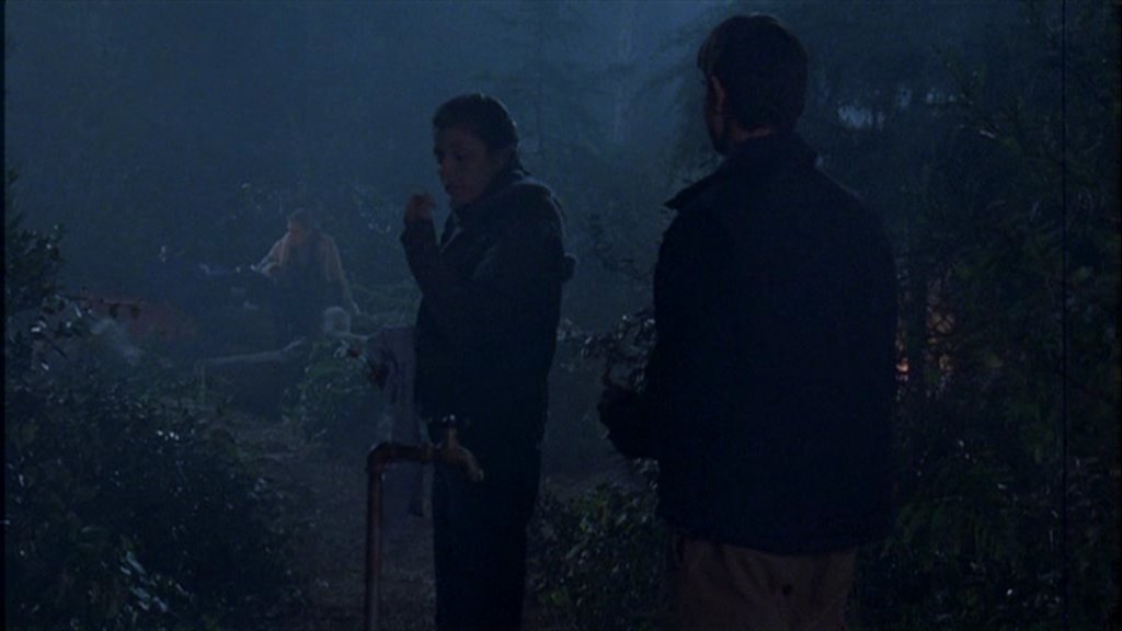 intothewoods-302.jpg
