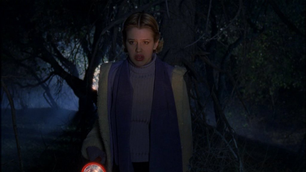 intothewoods-317.jpg