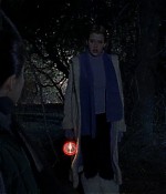 intothewoods-320.jpg