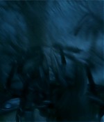 le-prince-bleu016.jpg